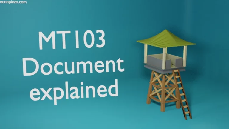 MT103 document explained