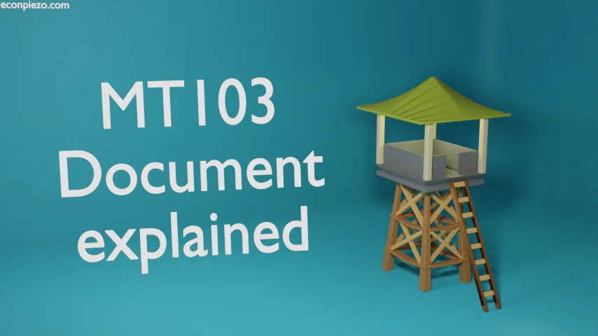 MT103 document explained